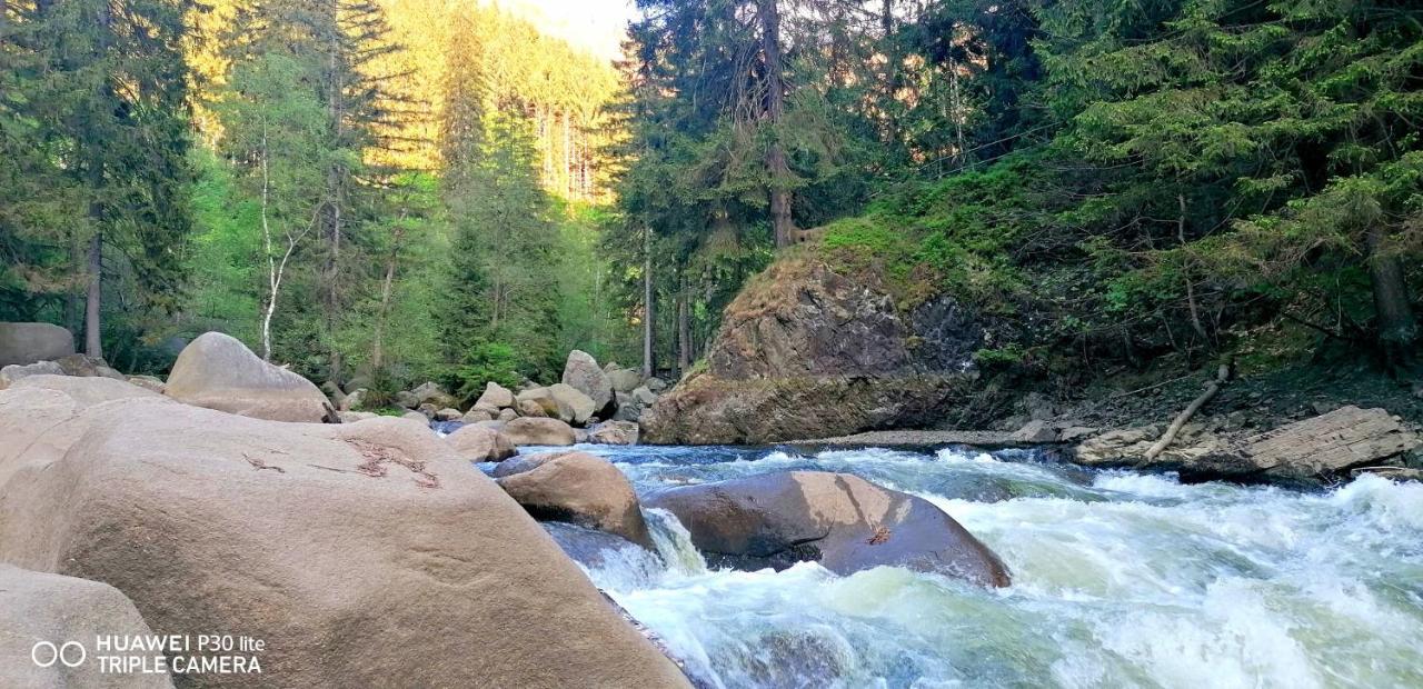 فندق Waldhaus Im Okertal جوسلار المظهر الخارجي الصورة
