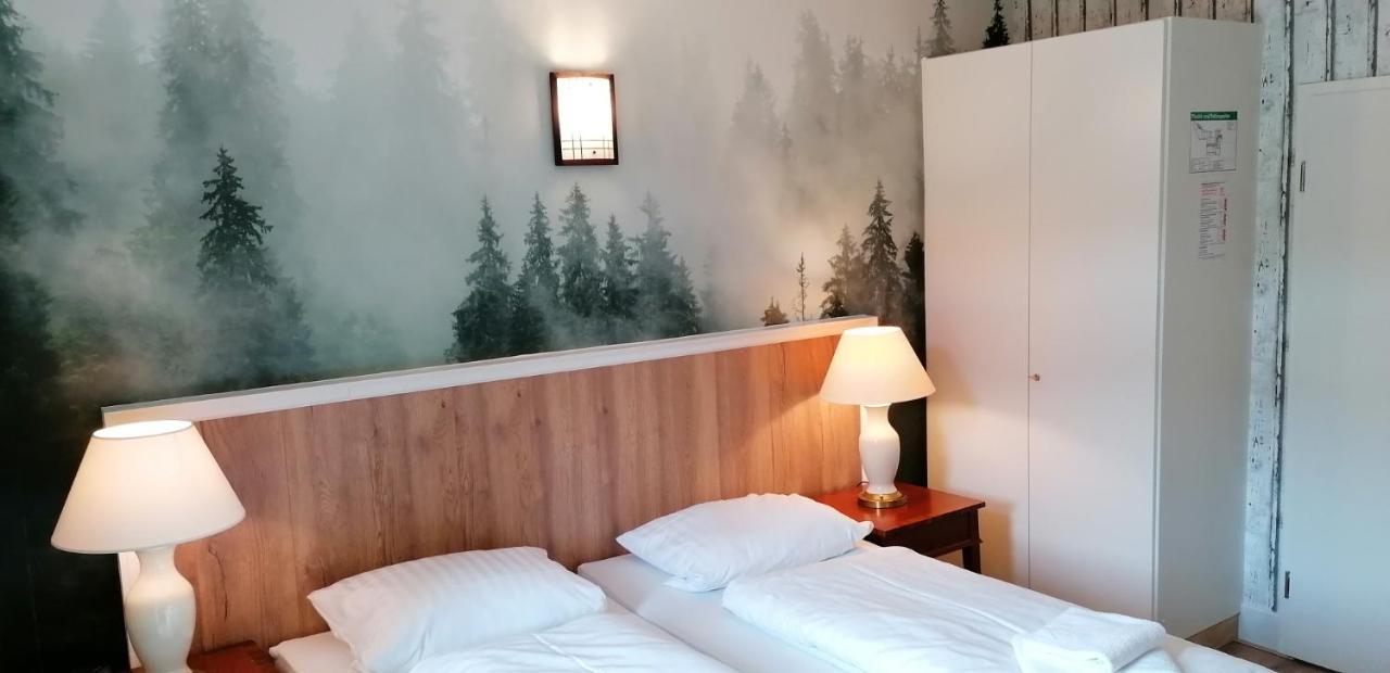 فندق Waldhaus Im Okertal جوسلار المظهر الخارجي الصورة