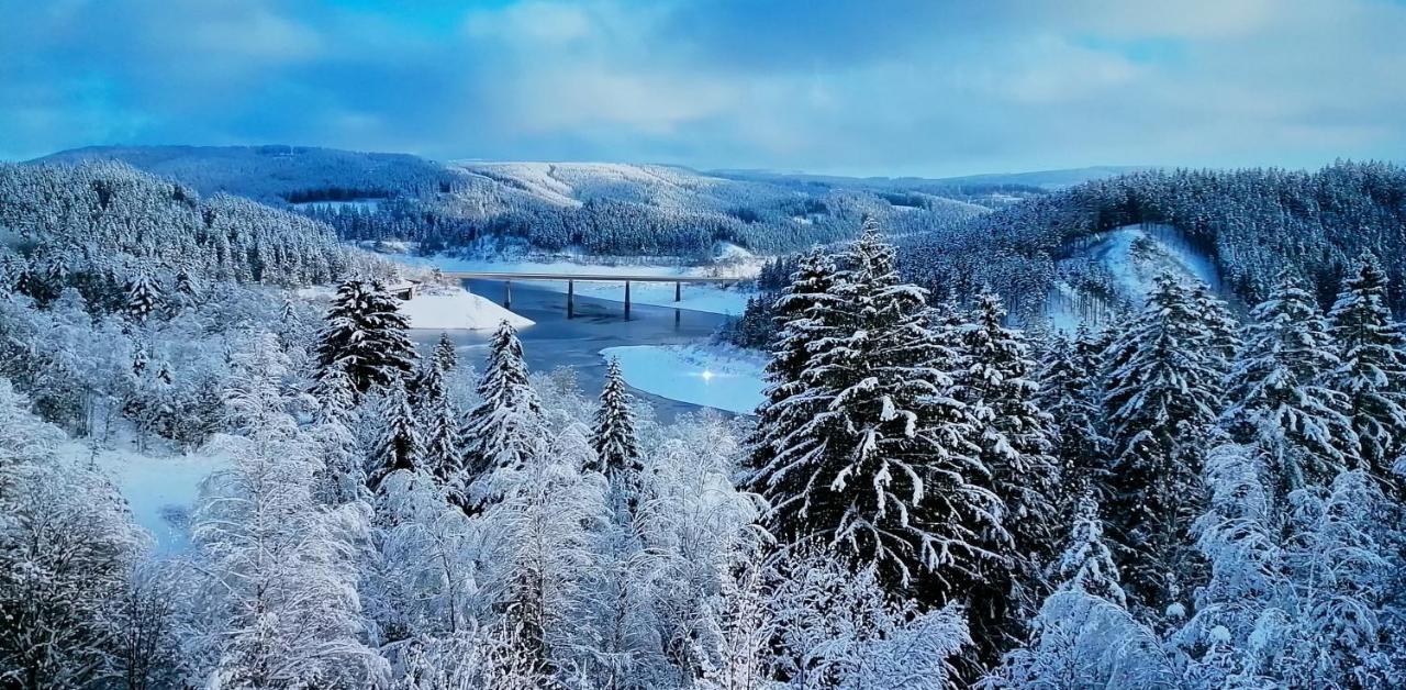فندق Waldhaus Im Okertal جوسلار المظهر الخارجي الصورة