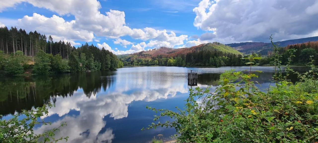 فندق Waldhaus Im Okertal جوسلار المظهر الخارجي الصورة