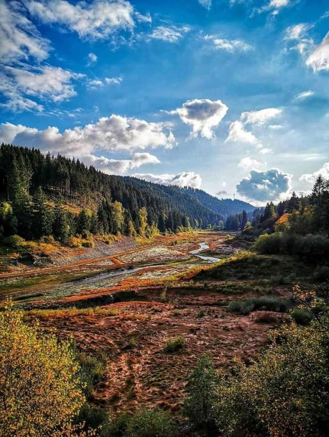 فندق Waldhaus Im Okertal جوسلار المظهر الخارجي الصورة