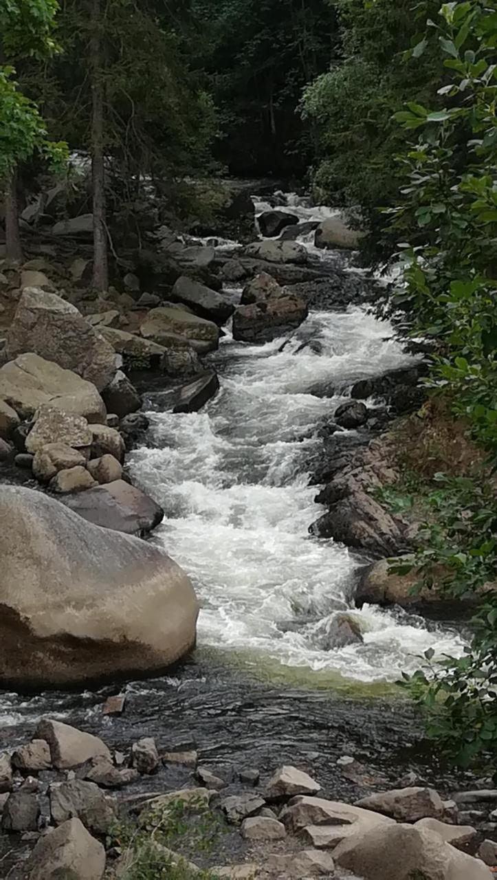 فندق Waldhaus Im Okertal جوسلار المظهر الخارجي الصورة
