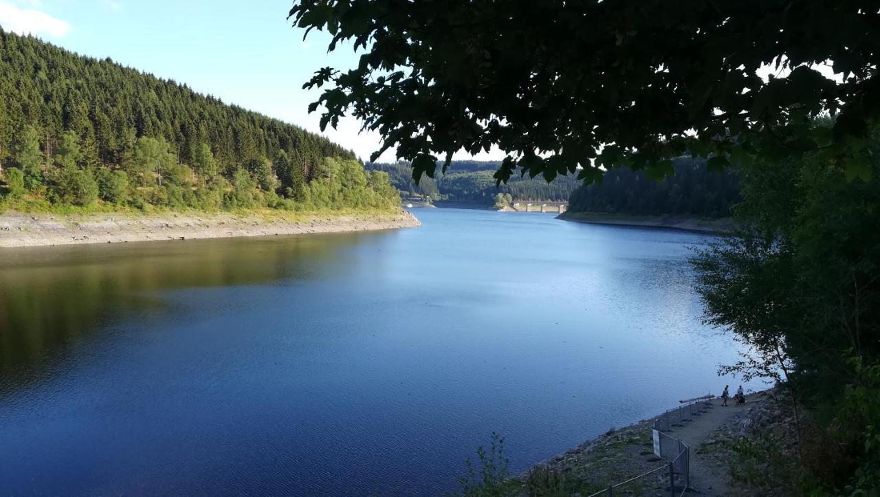 فندق Waldhaus Im Okertal جوسلار المظهر الخارجي الصورة