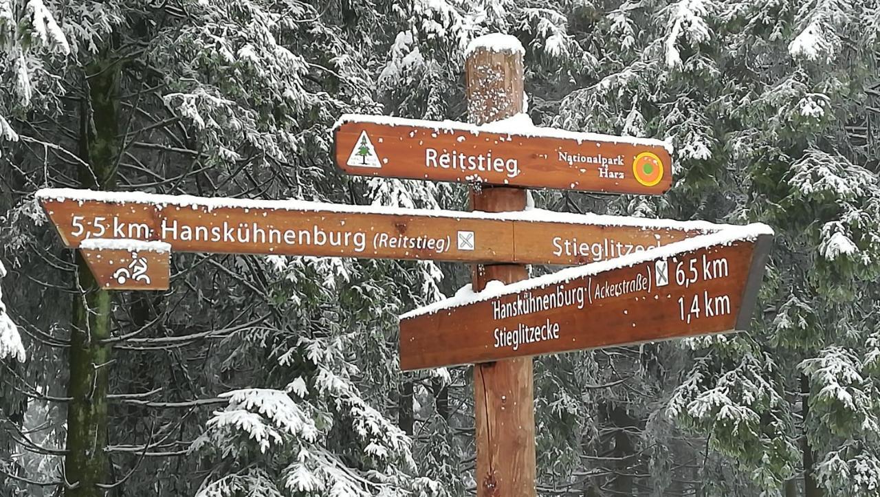 فندق Waldhaus Im Okertal جوسلار المظهر الخارجي الصورة