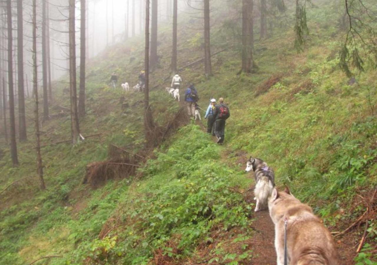 فندق Waldhaus Im Okertal جوسلار المظهر الخارجي الصورة